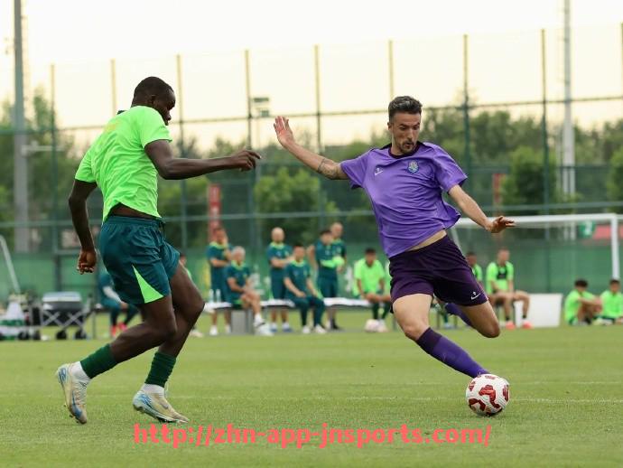 江南体育APP下载-意甲各球队队旗设计与象征意义